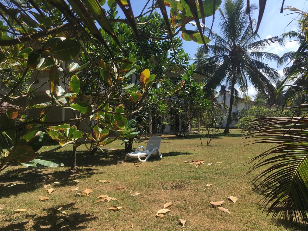 ราชา บีช โฮเต็ล Bed & Breakfast บาลาปิตียา ภายนอก รูปภาพ