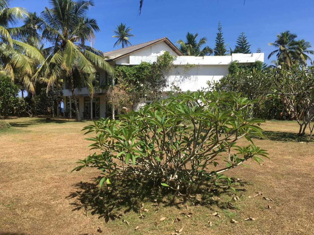 ราชา บีช โฮเต็ล Bed & Breakfast บาลาปิตียา ภายนอก รูปภาพ