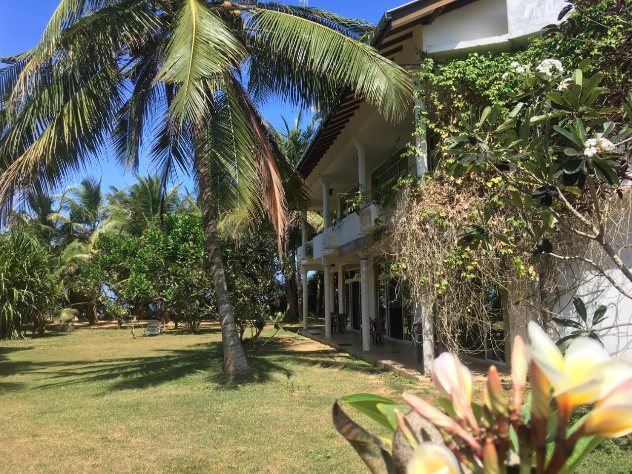 ราชา บีช โฮเต็ล Bed & Breakfast บาลาปิตียา ภายนอก รูปภาพ