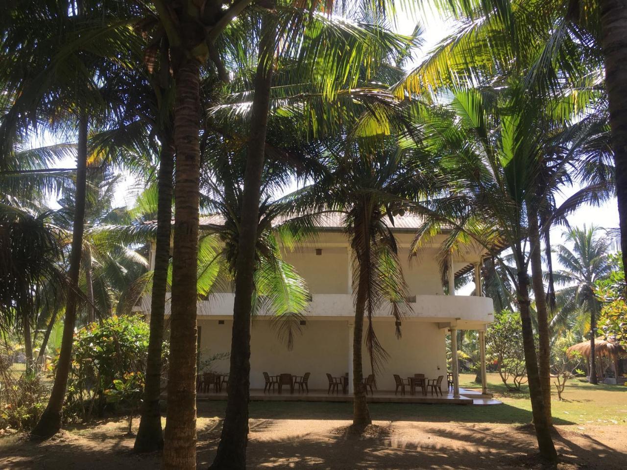 ราชา บีช โฮเต็ล Bed & Breakfast บาลาปิตียา ภายนอก รูปภาพ